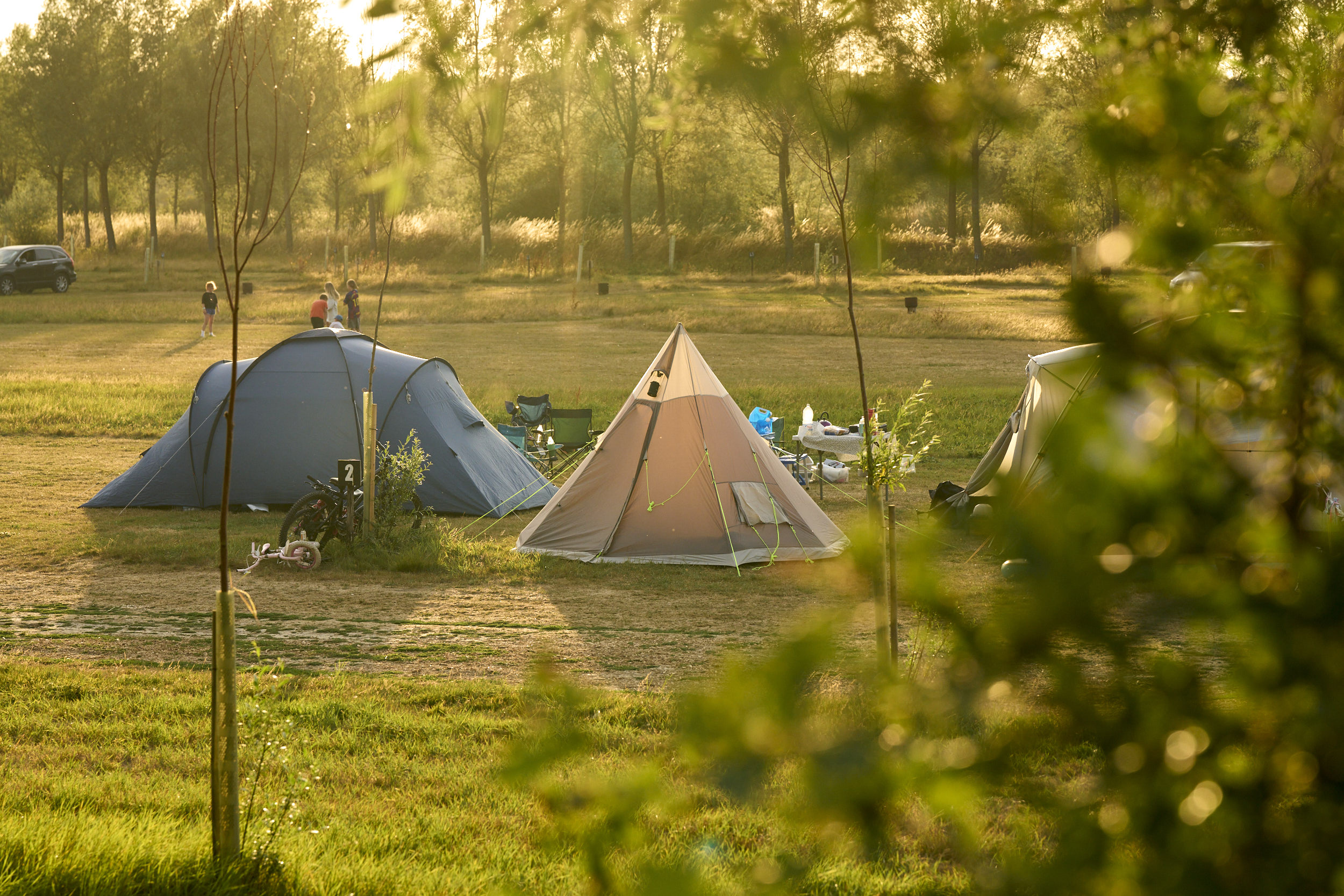 general campsite
